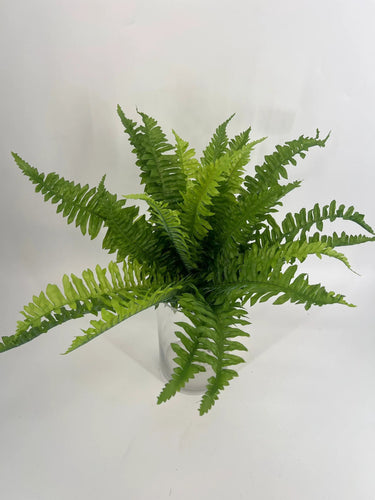 Le Fleur Boston Fern Bush 20" - Artificial Non-Flowering Plants Silk