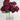 Le Fleur Cabbage Rose Bush (x10) Red 19" - Uncategorized Silk