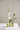 Accent Decor Carlotta Budvase Green (3 Sizes) 4"-6.25" - Vases Merchandise