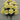 Golden Bell Carnation Bush Yellow 18" - Artificial Flowering Plants Silk