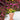 A&B Cement Head Bust Planter 7"D x 11" - Planters Merchandise