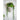 A&B Cement Woman Wall Vase 7" x 5.5" x 9" - Vases Merchandise