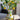 A&B Ceramic 3D Lemon Print Vase 9" x 13.5" - Vases Merchandise