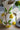 A&B Ceramic 3D Lemon Print Vase 9" x 13.5" - Vases Merchandise