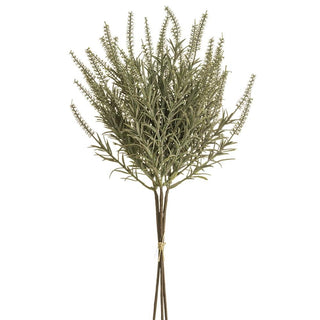 Astilbe Bundle X3 Sage/Grey 9"