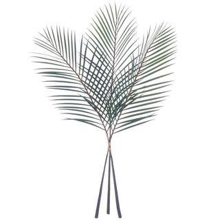 Palm Leaf Bundle X3 Green 40"