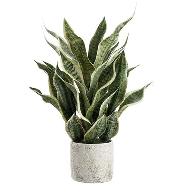 Allstate Sansevieria Snake Plant in Cement Pot Green-Grey 26" - Artificial Flora Silk