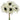 Allstate Anemone Bundle x6 White 12" - Uncategorized Silk