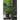 Allstate Areca Palm Bush 36" - Artificial Flora Silk