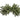 Allstate Balsam Pine Swag x72 Green 30" - Wreaths Silk