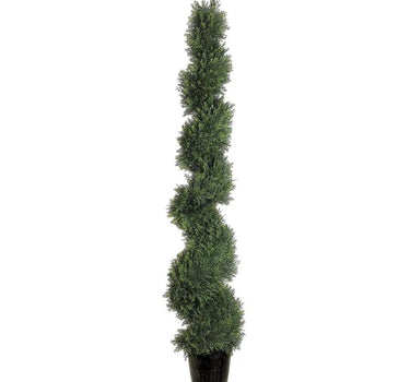 Spiral Cedar Topiary 5'