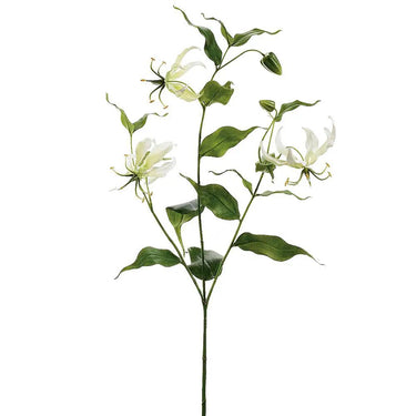 Allstate Gloriosa Spray Cream 34" - Uncategorized Silk