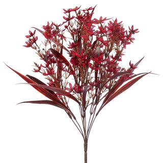 Tweedia Bush Burgundy 17"