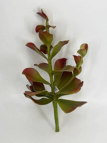 Select Coastal Succulent Pick Coral/Green 15" - Uncategorized Silk