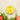 Spongelle Daisy Collection Spongette Sweet Patchouli 1.75Oz - Bath & Body Bath & Body