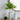 A&B Earthy White Terracotta Vase with Handle 5" x 11" - Vases Merchandise