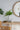 A&B Earthy White Terracotta Vase with Handle 5.5"D x 6" - Vases Merchandise