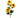 Regency Echinacea Spray Yellow 29" - Uncategorized Silk