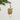Eloise Gold Fox Ornament by Accent Decor; gold fox head with glasses and chain, hangs from a satin ribbon