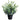 Allstate Eucalyptus in Plastic Pot 24" - Artificial Shrubs Silk