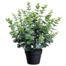 Allstate Eucalyptus in Plastic Pot 24" - Artificial Shrubs Silk