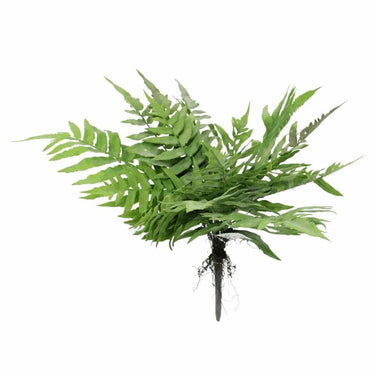 Direct Export Fern Bush 20" - Artificial Non-Flowering Plants Silk
