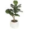 Allstate Fiddle Leaf Plant in Cement Pot 14" - Artificial Non-Flowering Plants Silk
