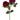 AmBest Fresh Touch Cabbage Rose Dark Red 21" - Uncategorized Silk