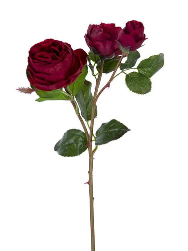 AmBest Fresh Touch Cabbage Rose Dark Red 21" - Uncategorized Silk