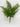 Le Fleur Fresh Touch Maiden Hair Bush 16" - Uncategorized Silk
