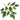 Greenhouse International Alder Spray 26" - Silk