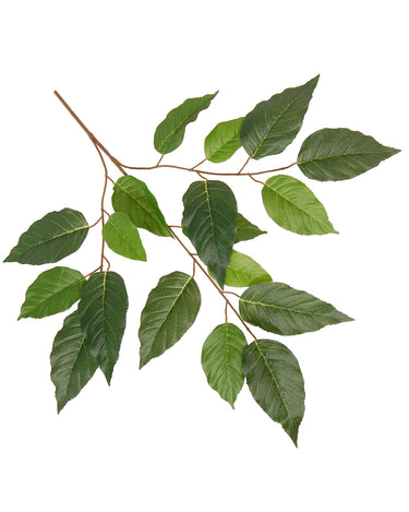 Greenhouse International Alder Spray 26" - Silk