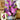 FreshCut Paper LLC Garden Lilacs Pop-Up Greeting Card - Greeting Cards Merchandise