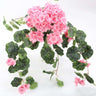 Geranium Hanging Bush Pink x12 - Evergreen Home and Floral