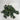 Le Fleur Geranium Leaves Hanging Bush Green - Artificial Non-Flowering Plants Silk