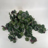 Le Fleur Geranium Leaves Hanging Bush Green - Artificial Non-Flowering Plants Silk