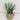 Supreme Grass w/ Pot 12" - Artificial Non-Flowering Plants Silk
