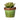 A&B Green Ceramic Succulent in Pot 4.5"D x 5.5"H - Uncategorized Merchandise
