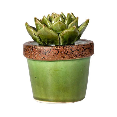 A&B Green Ceramic Succulent in Pot 4.5"D x 5.5"H - Uncategorized Merchandise