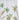 A&B Green-Gold Glass Floral Print Vase 5"D x 7" - Vases Merchandise