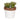 A&B Green-White Ceramic Succulent in Pot 4"D x 5"H - Figurines Merchandise