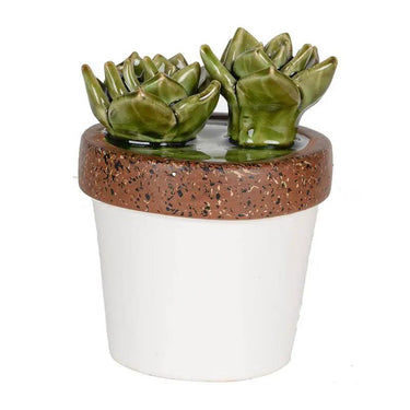 A&B Green-White Ceramic Succulent in Pot 4"D x 5"H - Figurines Merchandise
