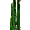 AmBest Hanging Amaranthus Spray Green 47" - Uncategorized Silk