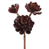 Allstate Hen And Chicks Stem Burgundy 10" - Artificial Non-Flowering Plants Silk