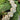 Ocean Pearl Jewel Drop 48-inch garland by Regency; white pearl and crystal bead strand