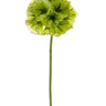 AmBest Scabiosa Ball Stem Light Green 22" - Artificial Flowering Plants Silk