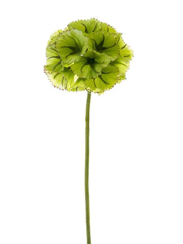 AmBest Scabiosa Ball Stem Light Green 22" - Artificial Flowering Plants Silk