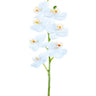 AmBest Real Touch Phalaenopsis Orchid White 24" - Artificial Flowering Plants Silk