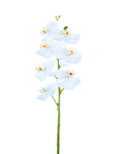 AmBest Real Touch Phalaenopsis Orchid White 24" - Artificial Flowering Plants Silk