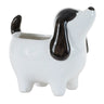 Melrose Resin Dog Container 5.5"L x 5.25"H - Figurines Merchandise